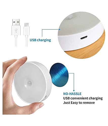 Motion Sensor Light with USB Charging