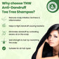 Anti Dandruff Tea Tree Shampoo - 200ml