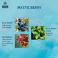 Mystic Berry Car Air Freshener - 10ml each