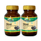 Shilajit Capsules (60 capsules x 2)